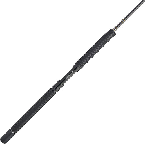 PENN Carnage II & Carnage III Boat Conventional Fishing Rod