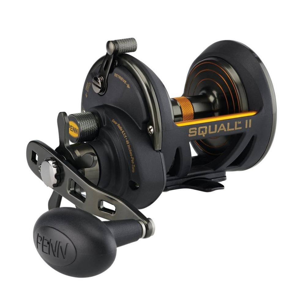 Penn Fathom II Star Drag Conventional Fishing Reel, Black Gold, 25N