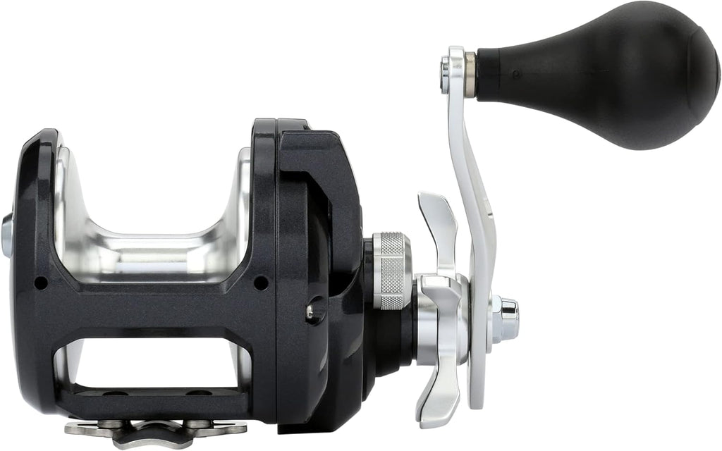 Shimano TORIUM Conventional ReelsFishing