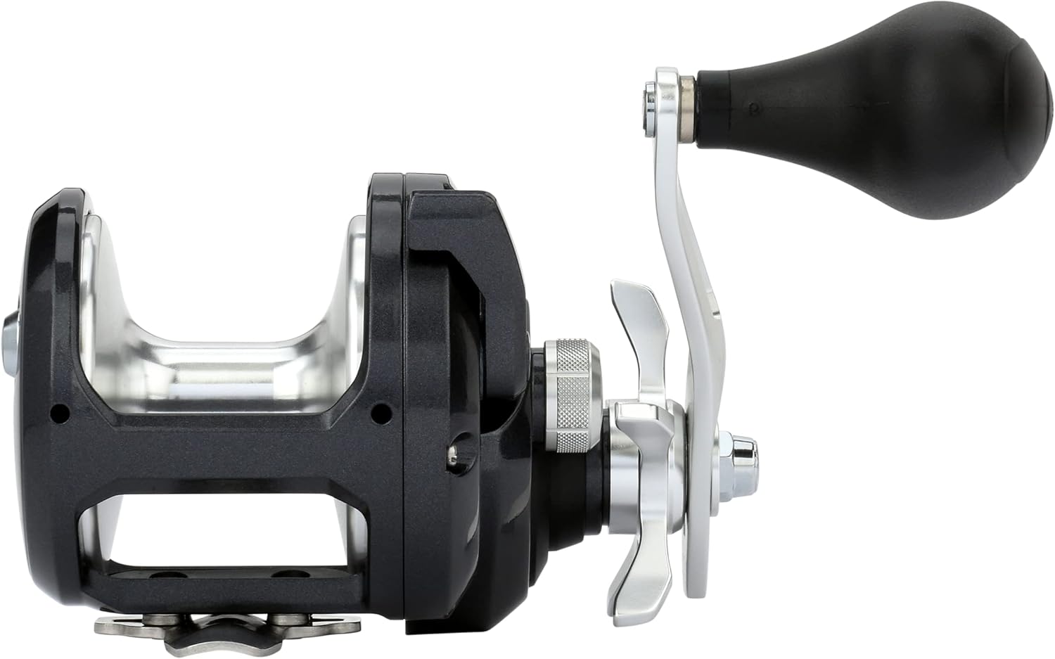 Shimano TORIUM Conventional ReelsFishing