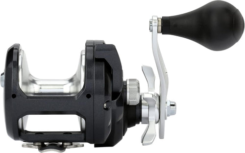 Shimano TORIUM Conventional ReelsFishing