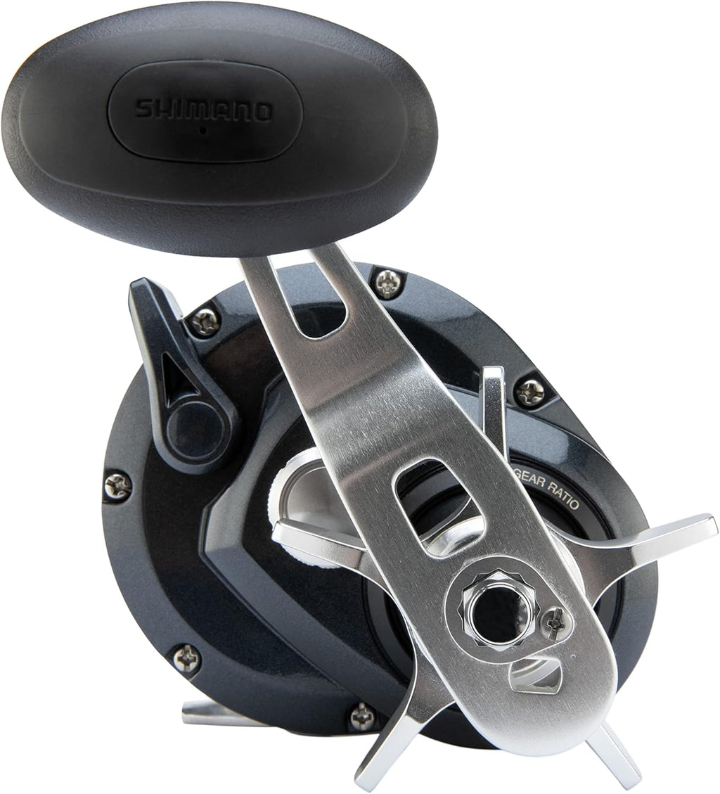 Shimano TORIUM Conventional ReelsFishing