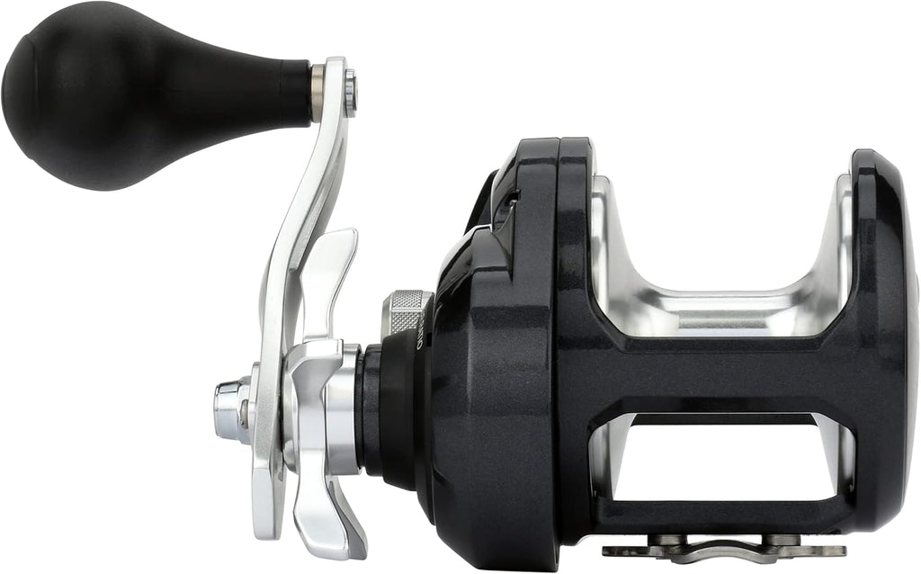 Shimano TORIUM Conventional ReelsFishing