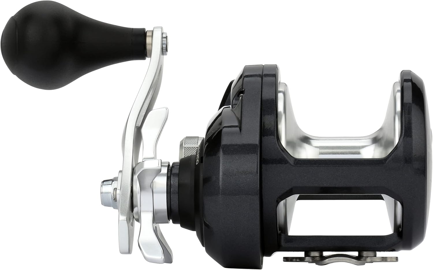 Shimano TORIUM Conventional ReelsFishing