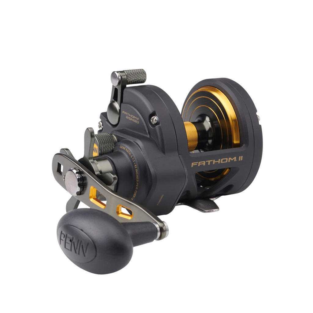 Penn Fathom II Star Drag Conventional Fishing Reel, Black Gold, 25N