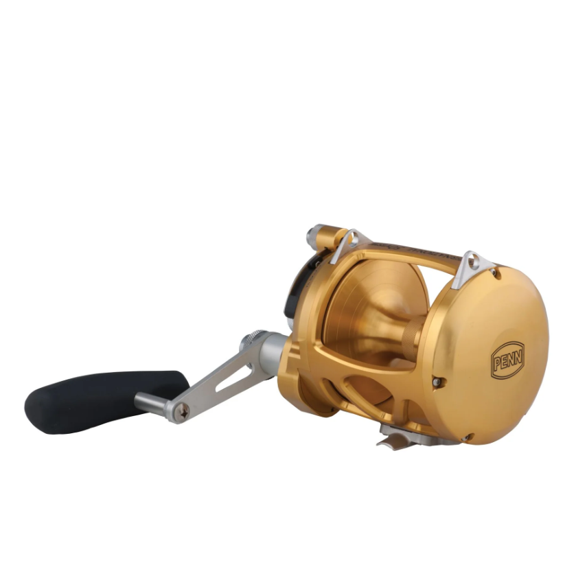 Penn International VISW 2 Speed Wide Conventional Fishing Reel